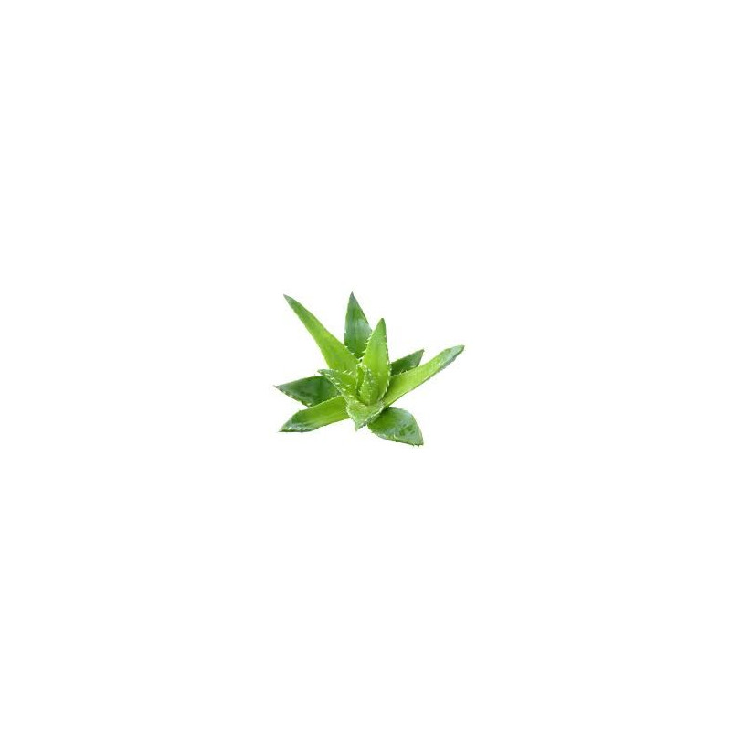 Fleurs de Californie Aloe vera 7,5ml Fleurs de Californie Aloe vera 7,5ml