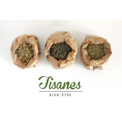 CARVI GRAINES 100GR