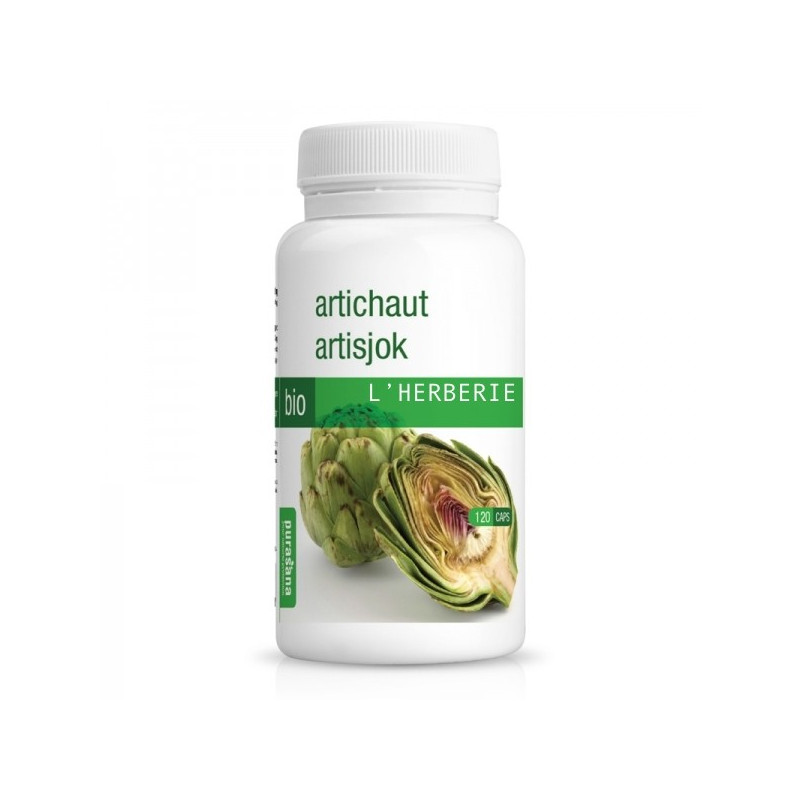 ARTICHAUT 120 GEL BIO PURASANA ARTICHAUT 120 GEL BIO PURASANA