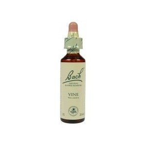 https://www.lherberie.com/1248-thickbox/fleur-de-bach-originale-vine-vigne-n32-vitis-vinifera-20-ml.jpg