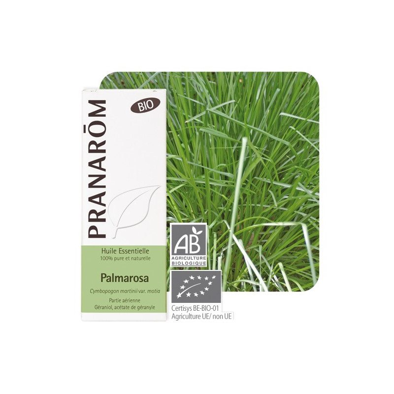 Pranarôm Huile Essentielle Pranarôm Huile Essentielle
