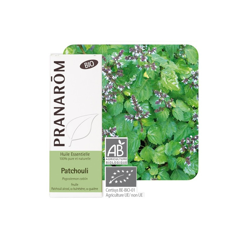 PATCHOULI BIO 10 ML Pranarôm Huile Essentielle PATCHOULI BIO 10 ML Pranarôm Huile Essentielle