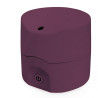 ALPHA FRAMBOISE DIFFUSEUR Pranarôm