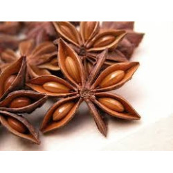 ANIS ETOILEE / BADIANE 100GR