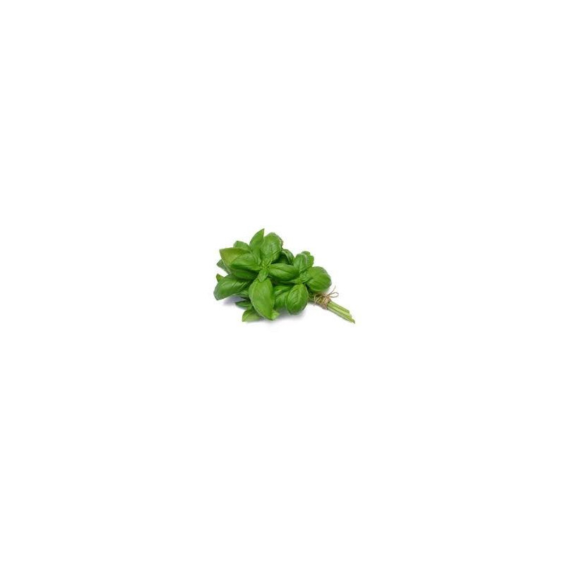 BASILIC 100GR