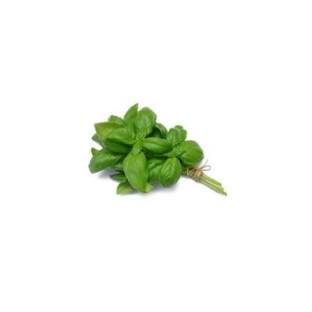 BASILIC 100GR