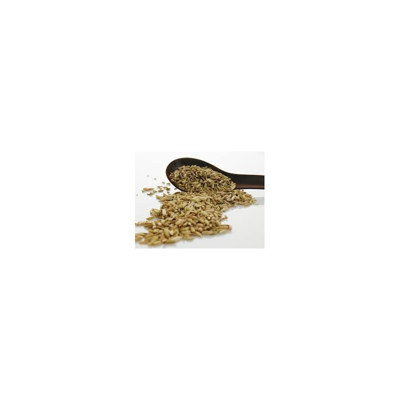 CUMIN GRAINES ENTIERES 100GR