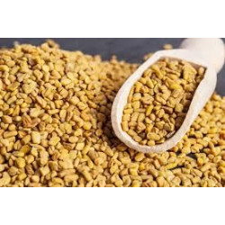 FENUGREC GRAINES 100GR