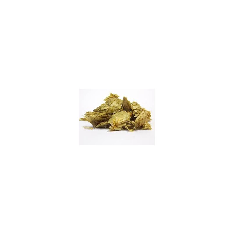 HOUBLON CONES 100GR