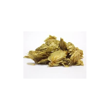 HOUBLON CONES 100GR