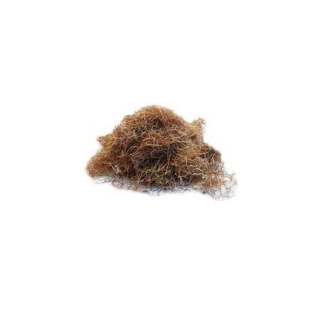 MAIS BARBE 100GR