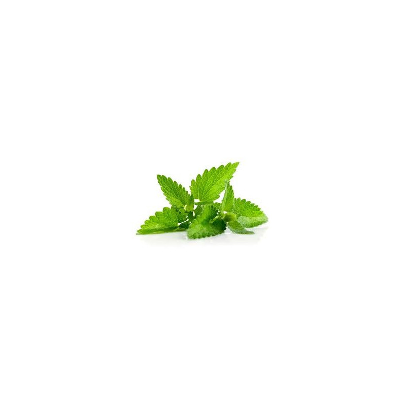 MELISSE CITRONEE 100GR