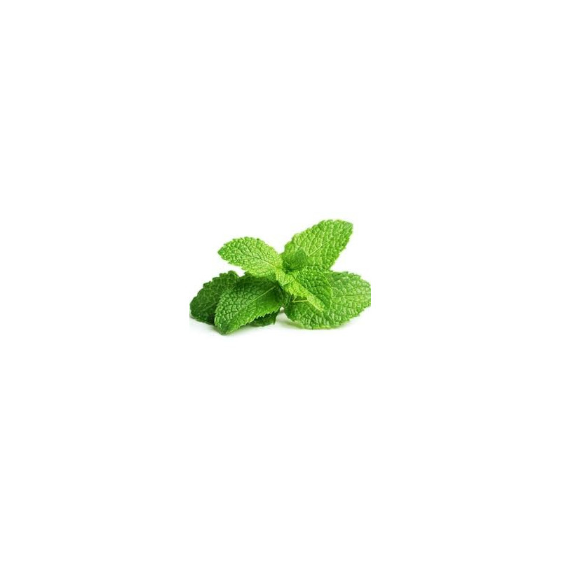 MENTHE POIVREE FE ENT 100GR