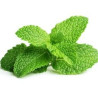 MENTHE POIVREE FE ENT 100GR