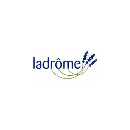 Bardane / Arctium lappa Bio 50 ml Teinture-mère – Ladrôme