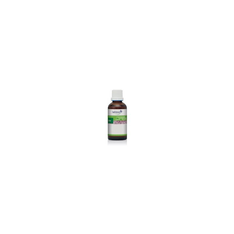 Valériane/Valeriana officinalis 50ml BIO Teinture-mère – Ladrôme