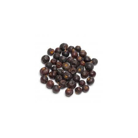 GENEVRIER BAIE 100GR