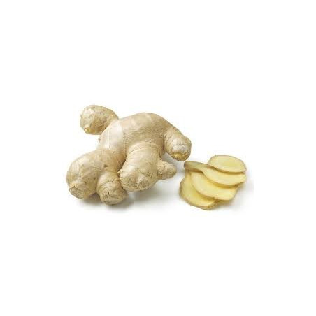 GINGEMBRE RHIZOMES 100GR