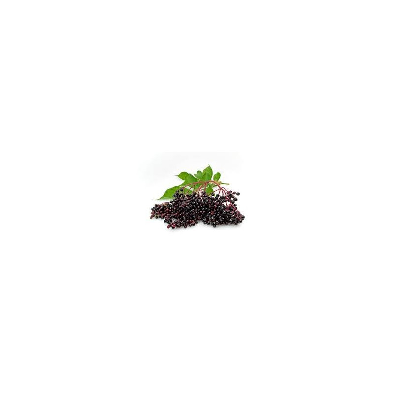 SUREAU BAIE 100GR
