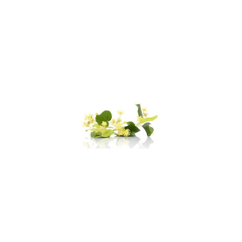 TILLEUL FLEURS ENTIERES 100GR