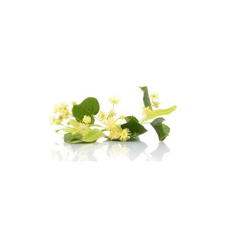 TILLEUL FLEURS ENTIERES 100GR