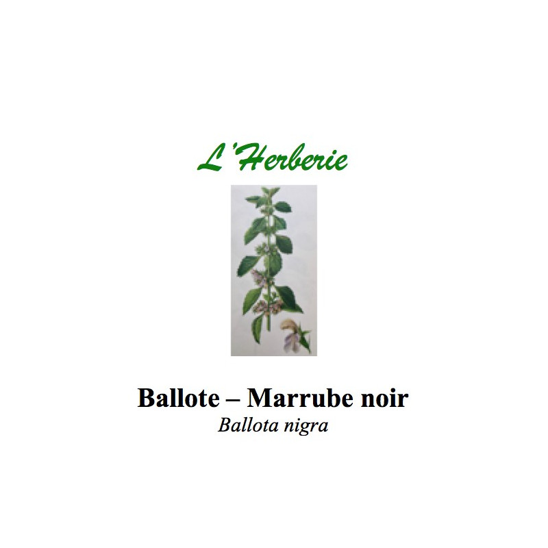 BALLOTE MARRUBE NOIR 100GR