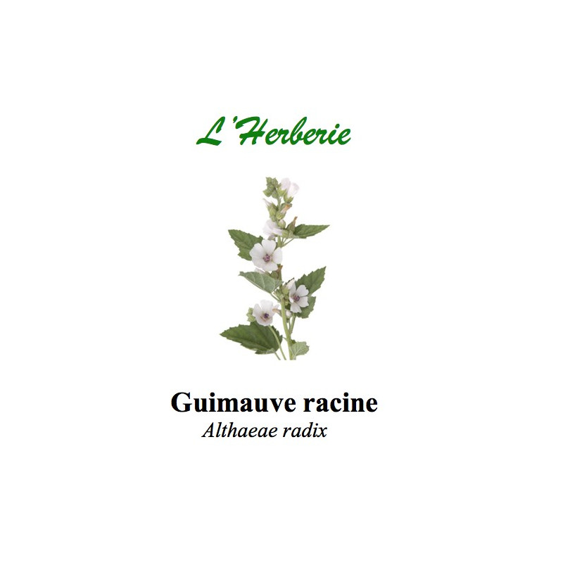 GUIMAUVE RAC MONDEE CP 100GR