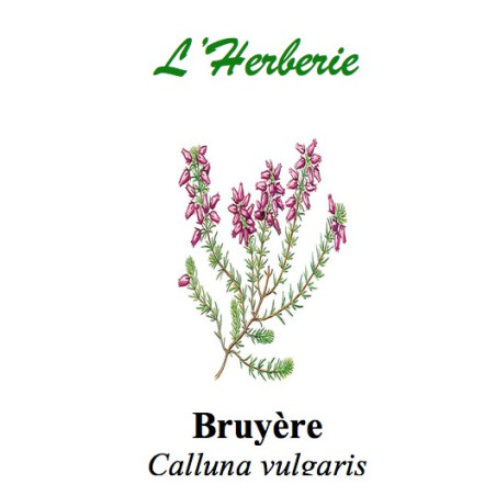 BRUYERE COMMUNE 100GR