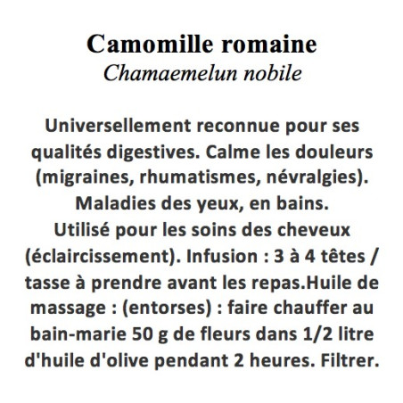 CAMOMILLE ROMAINE FL ENT 100GR