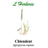 CHIENDENT RHIZOMES 100GR