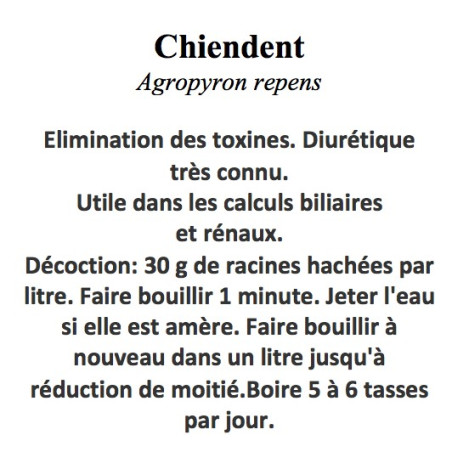 CHIENDENT RHIZOMES 100GR
