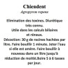 CHIENDENT RHIZOMES 100GR