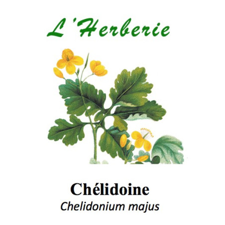 CHELIDOINE 100GR