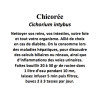 CHICOREE RACINE 100GR