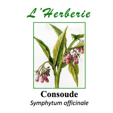 CONSOUDE 100GR