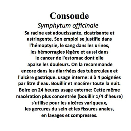 CONSOUDE 100GR