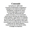 CONSOUDE 100GR