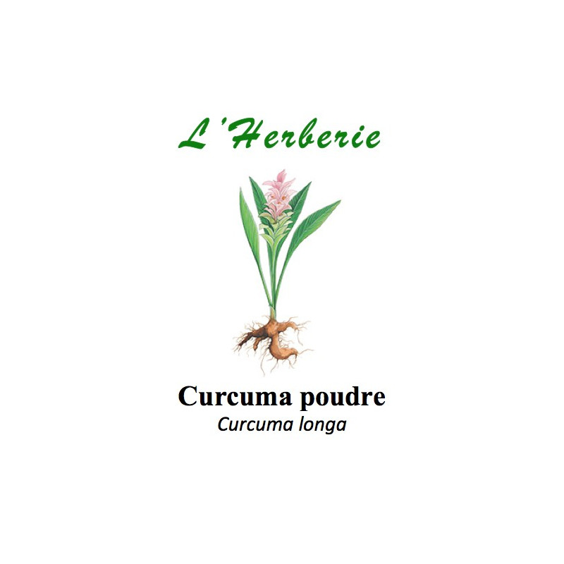 CURCUMA POUDRE 100GR