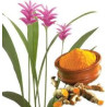 CURCUMA POUDRE 100GR