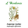 ASPERGE RACINE 100GR