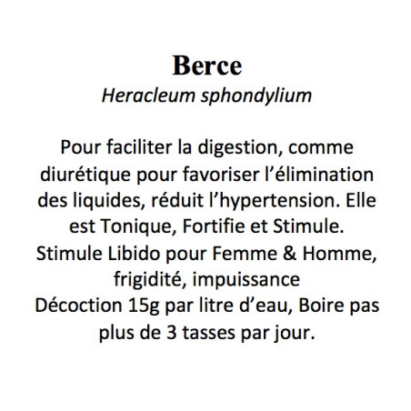 Berce Heracleum sphondylium 100GR