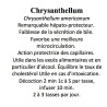Chrysanthellum Chrysanthellum americanum partie aérienne 100 gr