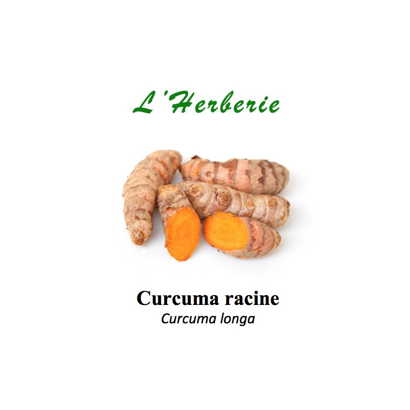 Curcuma racine Curcuma longa 100 gr Curcuma racine Curcuma longa 100 gr