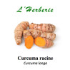 Curcuma racine Curcuma longa 100 gr