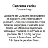 Curcuma racine Curcuma longa 100 gr