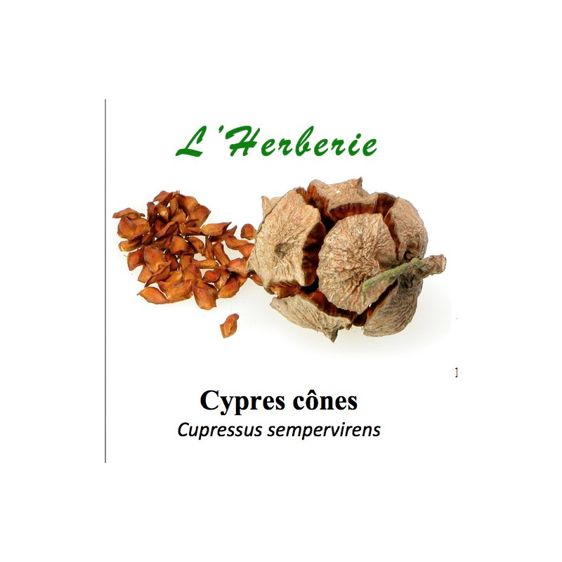 CYPRES CÔNES 100 gr CYPRES CÔNES 100 gr