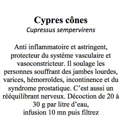 CYPRES CÔNES 100 gr