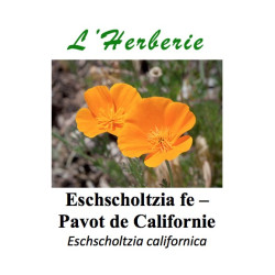 ESCHSCHOLTZIA CALIFORNICA feuilles Pavot de Californie Eschscholtzia californica 100GR