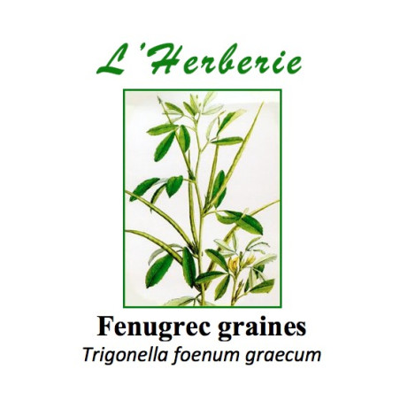 FENUGREC GRAINES 100GR Trigonella foenum graecum