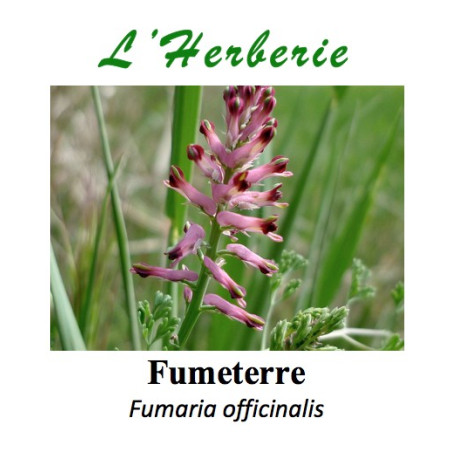 FUMETERRE 100GR